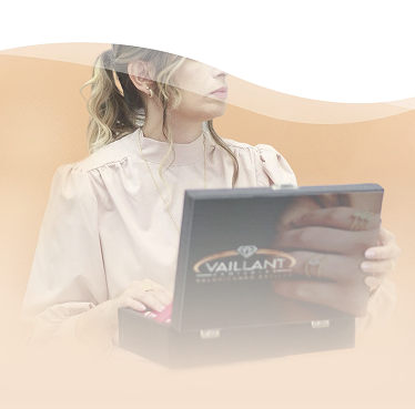 Missao, Visao e Valores